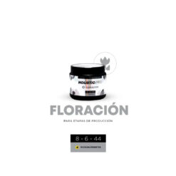 HOLISTIC PRO FLORACION 100G