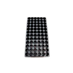 CARLUCCIO - BANDEJA ALMACIGO 72U