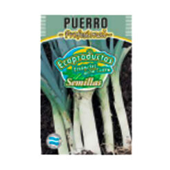 SEMILLA PUERRO