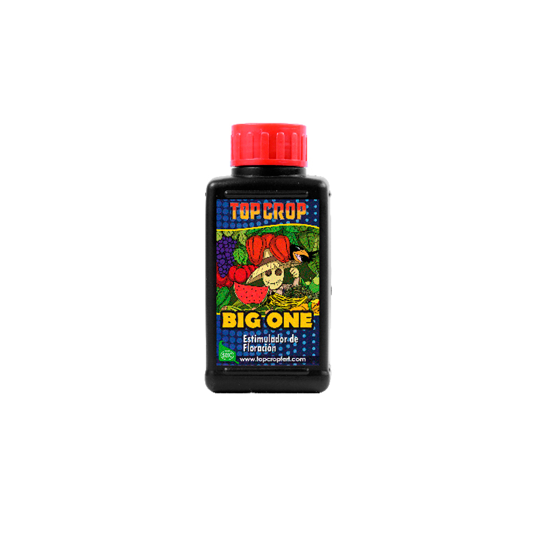 TOP CROP BIG ONE 100ML