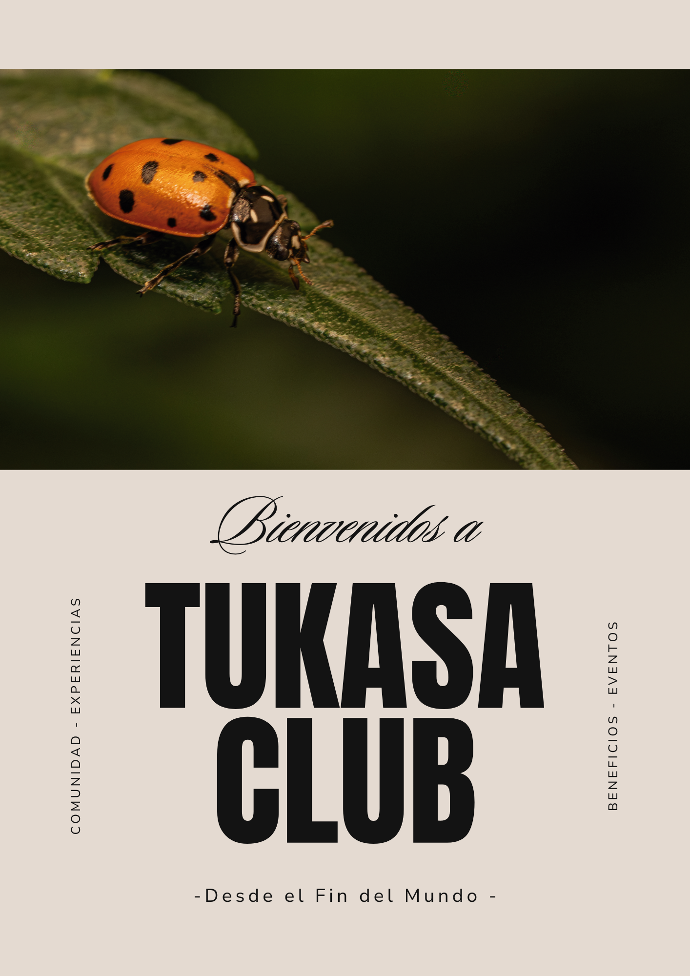 Tukasa Club Página 1